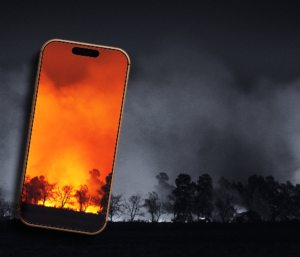 Data Monitor June 2026: Wildfire Lies and Trolls on BlueSky